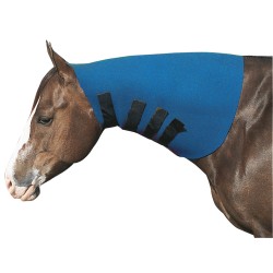 トップス THE SHINZONE HORSE SWEAT THE SHINZONE Shinzone HORSE SWEAT